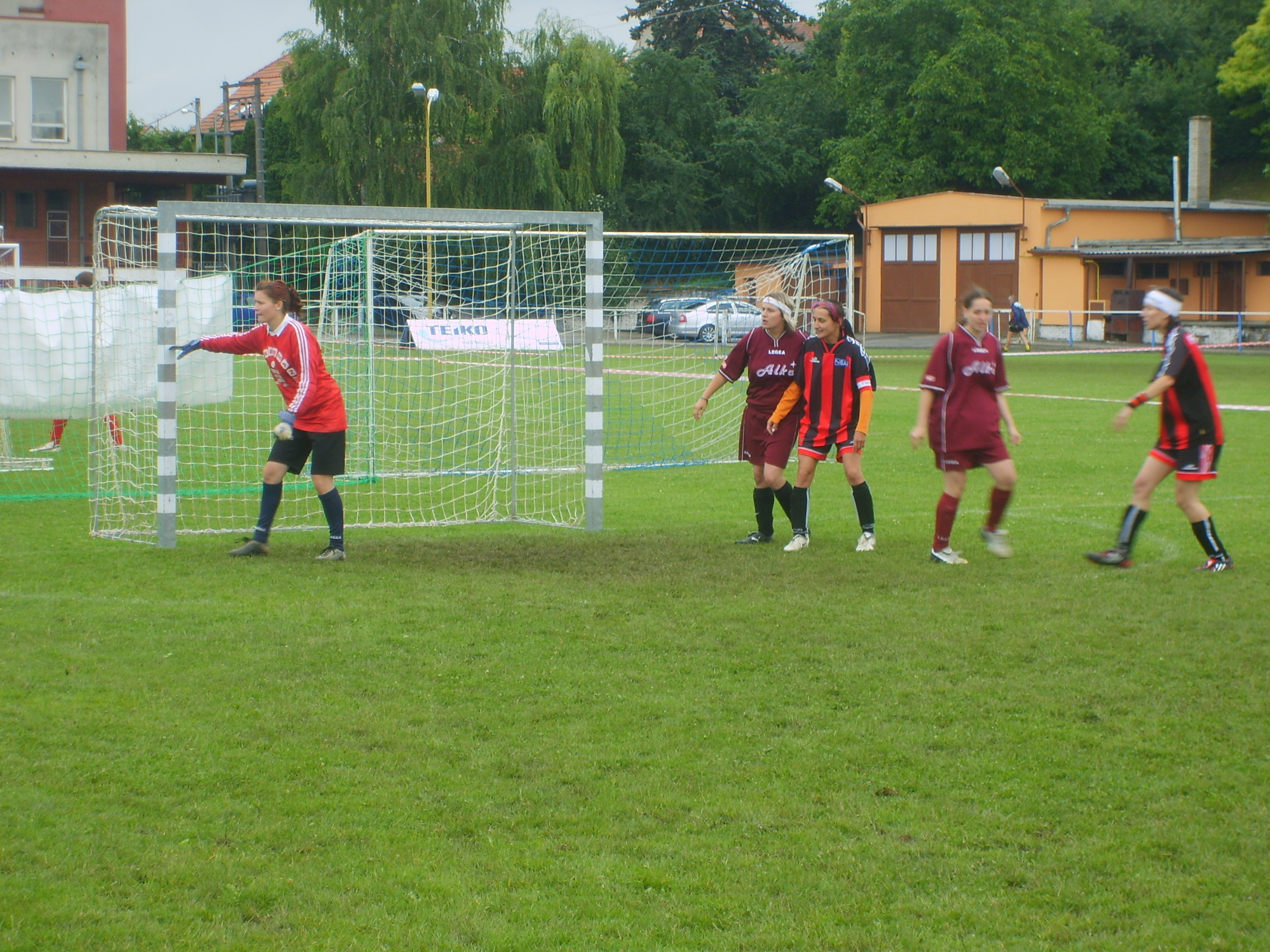 S6003544.JPG