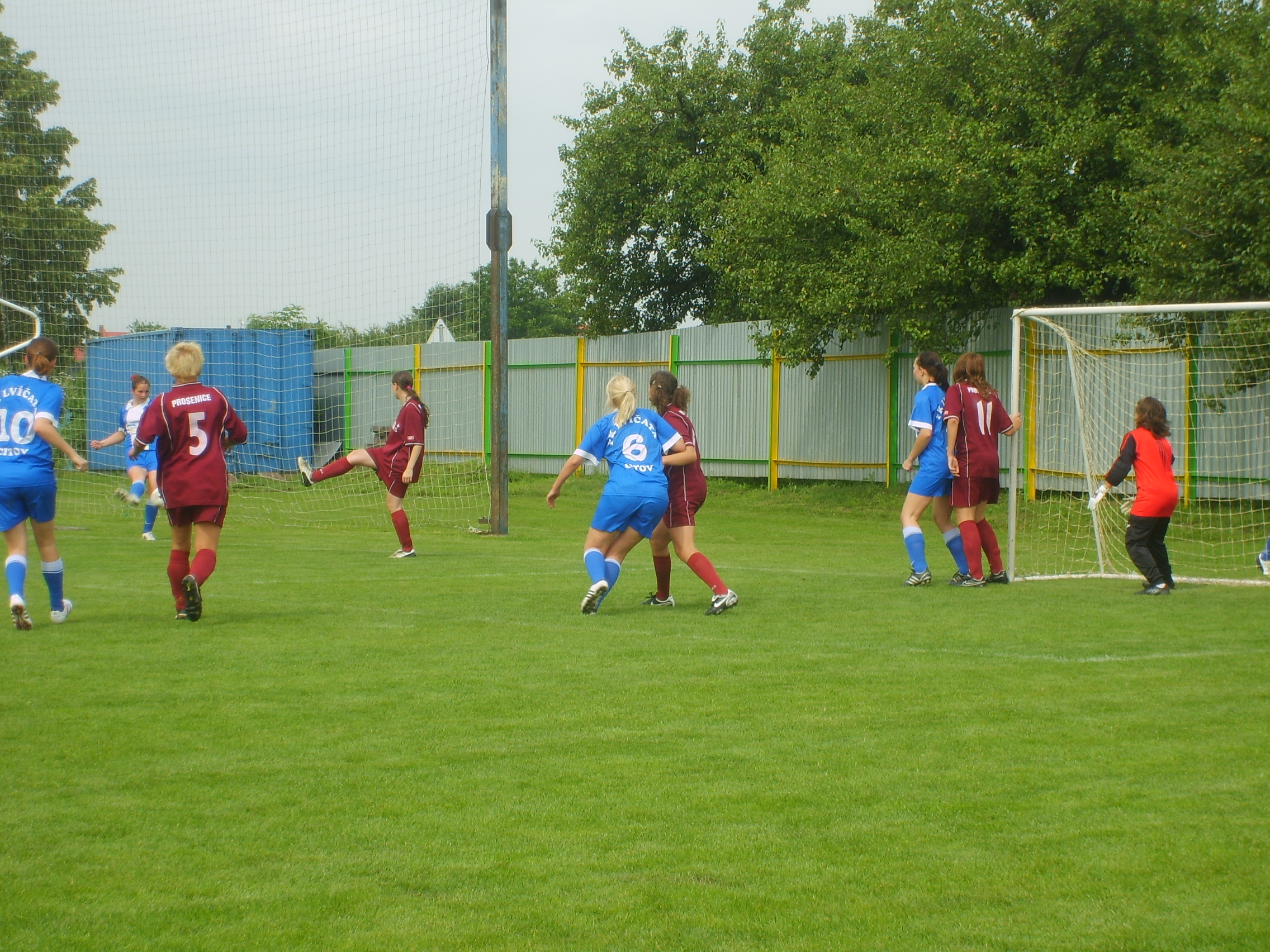 S6003554.JPG