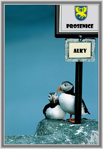 alky.JPG